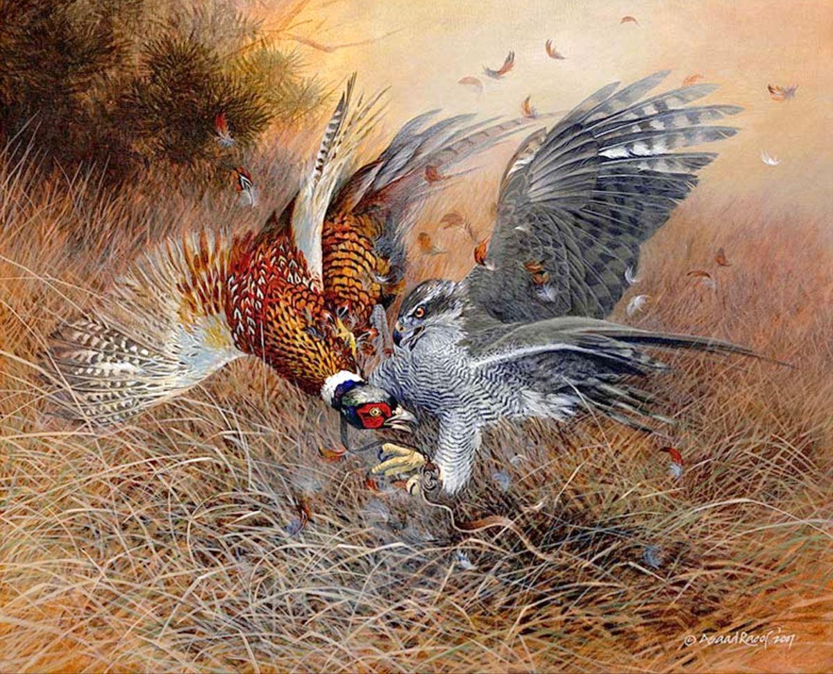  2007 falconry painting. Realistic wildlife art by Asaad Raoof