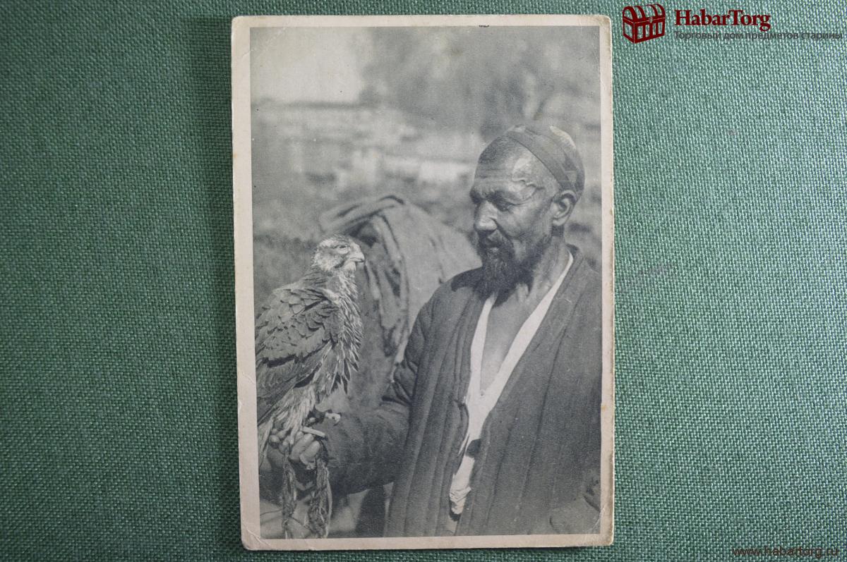 Uzbek with a falcon. 1920s - postcard