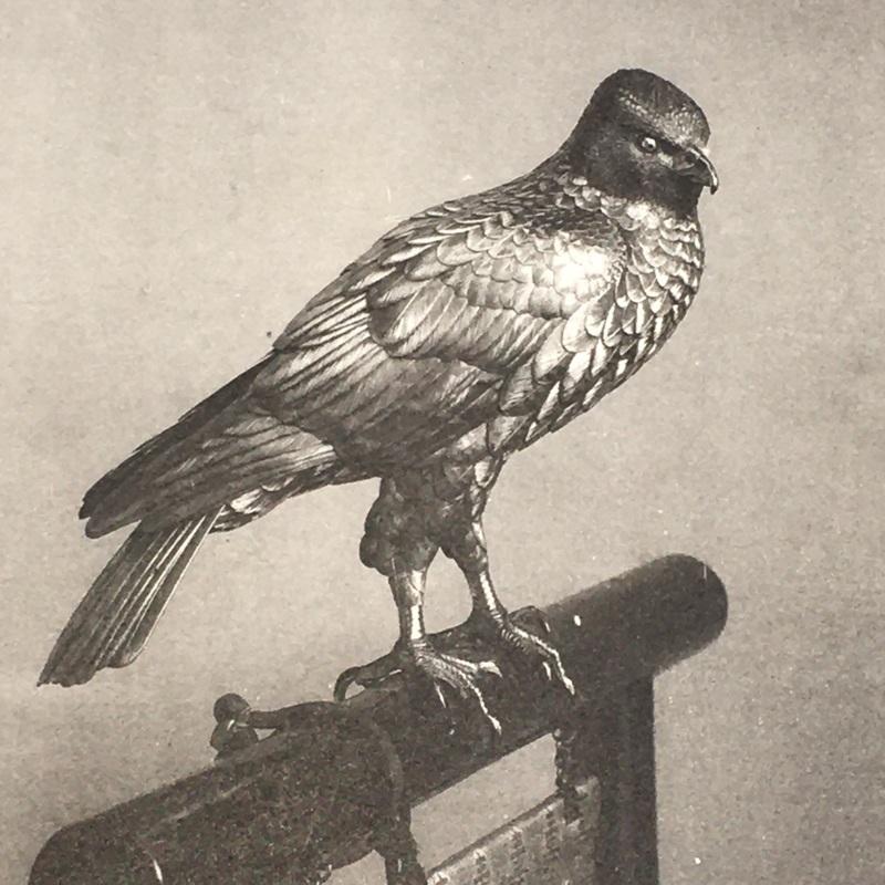 Bakumatsuya - twelve bronze falcons by Suzuki Chokichi