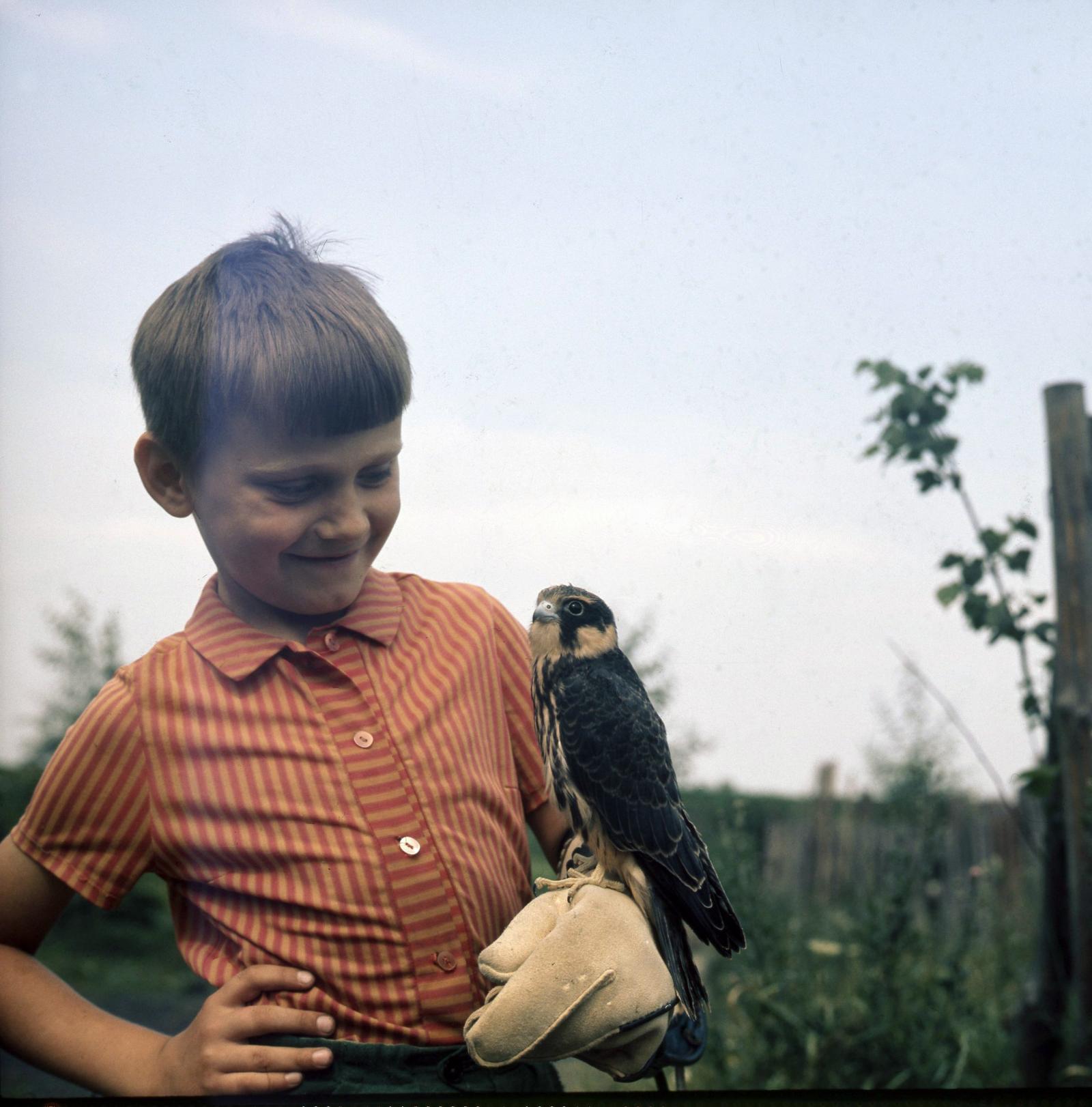 Young Polish falconer Janusz Sielicki