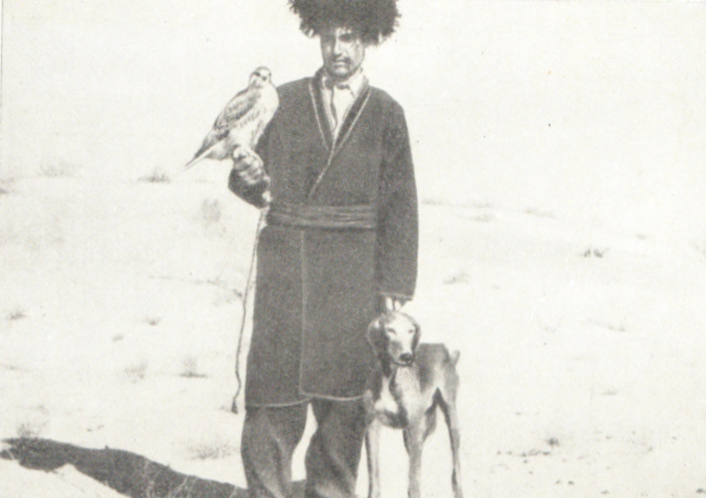 Turkmen with Saker and greyhound